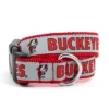 The License House Ohio State Buckeyes Dog Brutus Buckeye Collar
