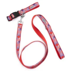The Worthy Dog Americana Pet Leash