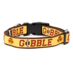 The Worthy Dog Gobble Gobble Dog Collar