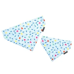 The Worthy Dog Birthday Boy Slide-On Bandana Collar Accessory -Pet Shop GUEST 1a6d27c9 ff00 47d6 9799 5aafcba742c8