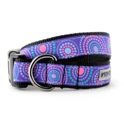 The Worthy Dog Sunburst Dog Collar