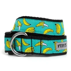 The Worthy Dog Go Bananas Dog Collar