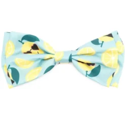 The Worthy Dog Lemons Adjustable Bow Tie Accessory 5 The Worthy Dog Lemons Adjustable Bow Tie Accessory -Pet Shop GUEST 2e107581 a94c 4652 af9b df923e9c59b5