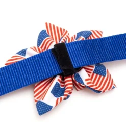 The Worthy Dog Patchwork Flag Adjustable Flower Accessory
