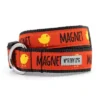 The Worthy Dog Chick Magnet Dog Collar