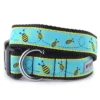 The Worthy Dog Busy Bee Dog Collar