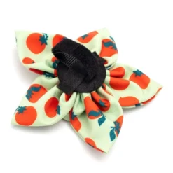 Tomatoes Dog Flower - Adjustable Collar Accessory By The Worthy Dog