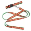 The Worthy Dog Gingerbread Bones Pet Leash