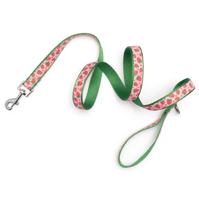 The Worthy Dog Strawberries Pet Leash 1 The Worthy Dog Strawberries Pet Leash