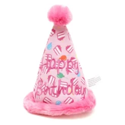 The Worthy Dog Birthday Hat Tough Dog Toy -Pet Shop GUEST 4ef24436 45b6 4bd1 b465 89ba5b988c13