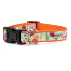 The Worthy Dog Tutti Frutti Adjustable Dog Collar -Pet Shop GUEST 4f391b89 d272 4885 87bf 1fd33b58b243