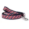 The Worthy Dog Bias Stars And Stripes Dog Leash