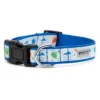 The Worthy Dog Birthday Adjustable Dog Collar