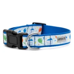 The Worthy Dog Birthday Adjustable Dog Collar