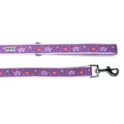 The Worthy Dog Princess Dog Leash -Pet Shop GUEST 5293664b 7608 4238 9a3b 5b081fb46cf5