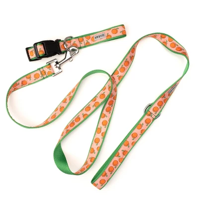 The Worthy Dog Peachy Keen Dog Collar 1 The Worthy Dog Peachy Keen Dog Collar