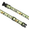The Worthy Dog Tricks For Treats Adjustable Dog Collar