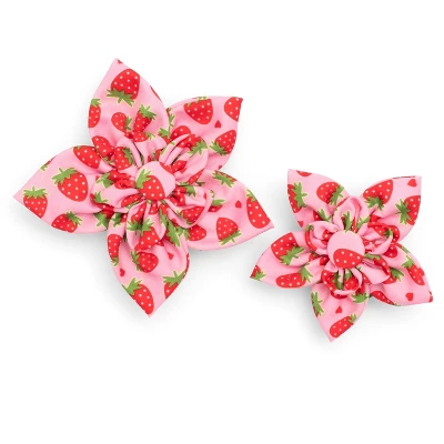 The Worthy Dog Strawberries Adjustable Flower Accessory 1 The Worthy Dog Strawberries Adjustable Flower Accessory