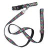 The Worthy Dog Carnival Check Adjustable Dog Collar