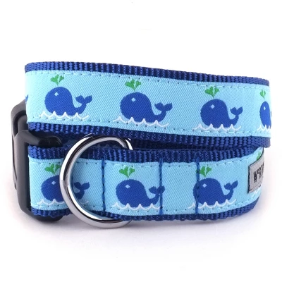 The Worthy Dog Squirt Dog Collar 1 The Worthy Dog Squirt Dog Collar