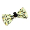 The Worthy Dog Witches Brew Adjustable Bow Tie Accessory