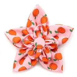 The Worthy Dog Peachy Keen Flower Accessory 5 The Worthy Dog Peachy Keen Flower Accessory -Pet Shop GUEST 82defa64 7cb7 4198 bc44 5be54333637f