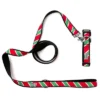 The Worthy Dog Holiday Stripe Dog Collar