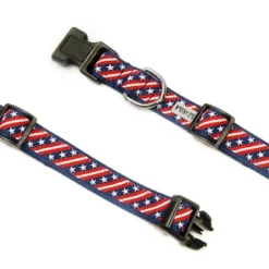 The Worthy Dog Bias Stars And Stripes Dog Collar