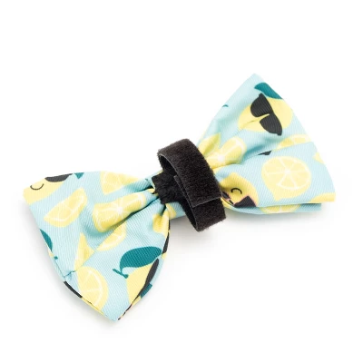 The Worthy Dog Lemons Adjustable Bow Tie Accessory 1 The Worthy Dog Lemons Adjustable Bow Tie Accessory