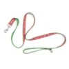 The Worthy Dog Summer Cheer Pet Leash