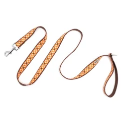 The Worthy Dog Fall Check Dog Leash