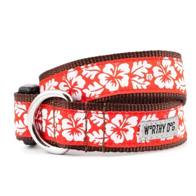 The Worthy Dog Aloha Dog Collar 1 The Worthy Dog Aloha Dog Collar