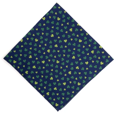 The Worthy Dog Lucky Bandana Accessory 1 The Worthy Dog Lucky Bandana Accessory