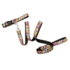 The Worthy Dog Kaleidoscope Dog Leash