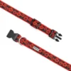 The Worthy Dog Poppies Collar